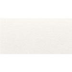 Veronica White Matt Glazed Ceramic Wall Tile - 300x600mm