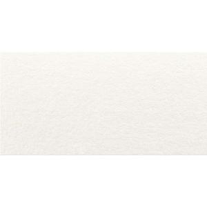 Veronica White Matt Glazed Ceramic Wall Tile - 300x600mm