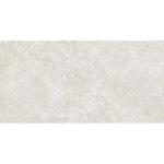 Polesden Cream Matt Ceramic Wall Tile - 250x500mm